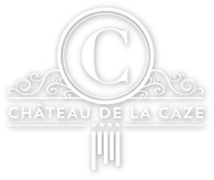 logo overlay